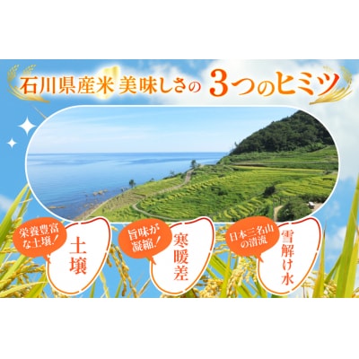 米 令和7年 ひゃくまん穀 精米 10kg [中橋商事 石川県 宝達志水町 38601201] お米