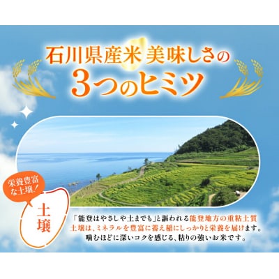 【最短2営業日発送】令和7年 石川県産 ひゃくまん穀 精米 30kg[38601203-sp]