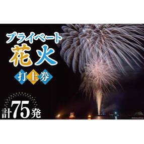 花火大会チケットのお礼品 返礼品一覧 ふるさと納税サイト さとふる 花火大会チケットのお礼品 返礼品一覧 ふるさと納税サイト さとふる