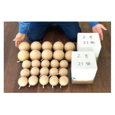 プライベート 花火 2号玉×50発&3号玉×15発&4号玉×10発 計75発 [38600094]