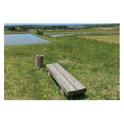 プライベート 花火 2号玉×50発&3号玉×15発&4号玉×10発 計75発【打上場所は宝達志水町内