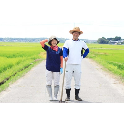 米 令和7年 ゆめみづほ 白米 5kg [みどりの波 石川県 宝達志水町 38601254]