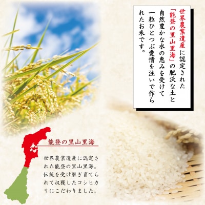 米 定期便 能登米 こしひかり 5kg ×6回 総計 30kg 精米 [38601130]