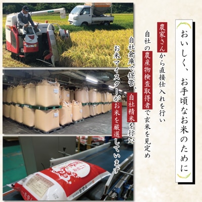米 定期便 能登米 こしひかり 5kg ×6回 総計 30kg 精米 [38601130]