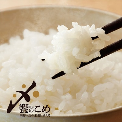 米 定期便 能登米 こしひかり 5kg ×6回 総計 30kg 精米 [38601130]