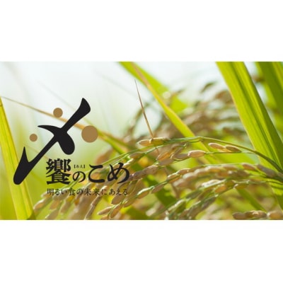 米 令和7年 無洗米 こしひかり 精米 5kg [中橋商事 石川県 宝達志水町 38601204]