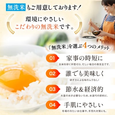 米 令和7年 無洗米 こしひかり 精米 5kg ×2袋 計 10kg [中橋商事 38601205]