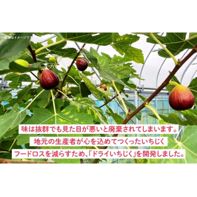 ドライフルーツ いちじく 50g [モアショップヤマモト 石川県 宝達志水町 38601069]