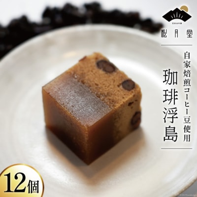 【自家焙煎珈琲豆使用】珈琲浮島 12個入 [宝達山本舗 松月堂 石川県宝達志水町 38600586]