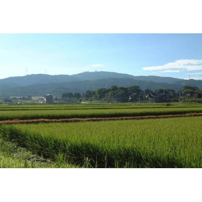 米 ひゃくまん穀「弘宝米」 精米 5kg [中西農場 石川県 宝達志水町 38600979]