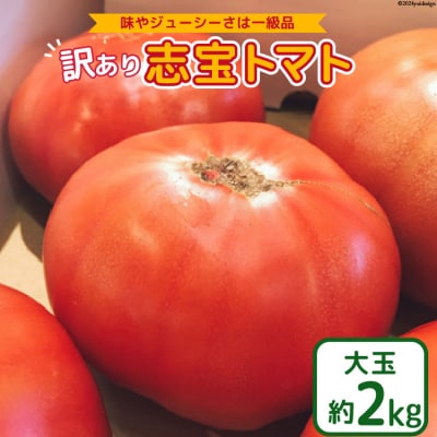 志宝トマト 大玉 約2kg [モアショップヤマモト 石川県 宝達志水町 38601138]