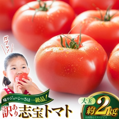 志宝トマト 大玉 約2kg [モアショップヤマモト 石川県 宝達志水町 38601138]