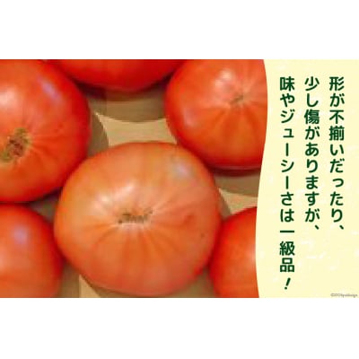 志宝トマト 大玉 約2kg [モアショップヤマモト 石川県 宝達志水町 38601138]