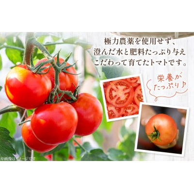 志宝トマト 大玉 約2kg [モアショップヤマモト 石川県 宝達志水町 38601138]
