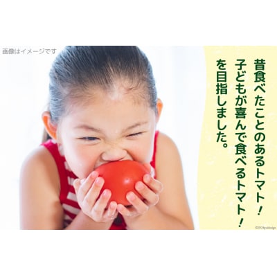 志宝トマト 大玉 約2kg [モアショップヤマモト 石川県 宝達志水町 38601138]