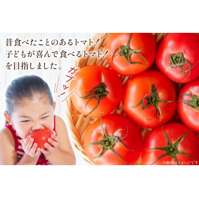 志宝トマト 大玉 約2kg [モアショップヤマモト 石川県 宝達志水町 38601138]