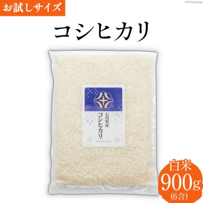 米 令和7年 コシヒカリ 白米 900g(6合) [みどりの波 宝達志水町 38601231]