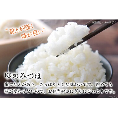 米 令和6年 ゆめみづほ 白米 900g(6合) [みどりの波 宝達志水町 38600728]
