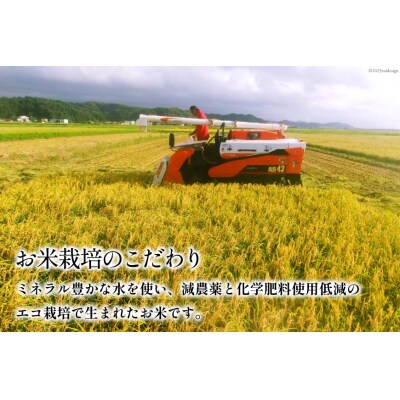 米 令和6年 ゆめみづほ 白米 900g(6合) [みどりの波 宝達志水町 38600728]