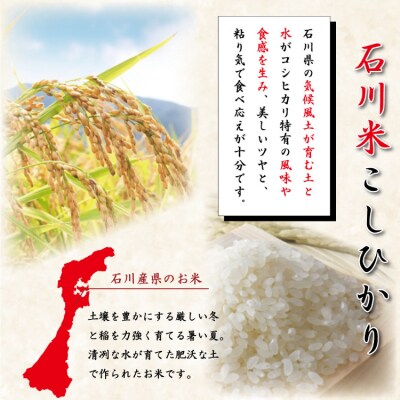 米 定期便 石川米 こしひかり【穂立】5kg×6回 総計30kg [中橋商事 38601131]