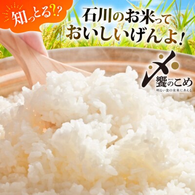 米 定期便 石川米 こしひかり【穂立】5kg×3回 総計15kg [中橋商事 38601207]