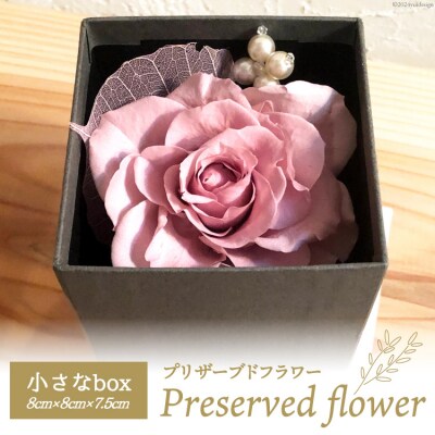 花 プリザーブドフラワー 小さな box [littleprincess 38600817]