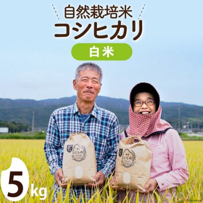 【期間限定発送】米 令和6年 自然栽培米コシヒカリ 白米 5kg×1 [38600881]