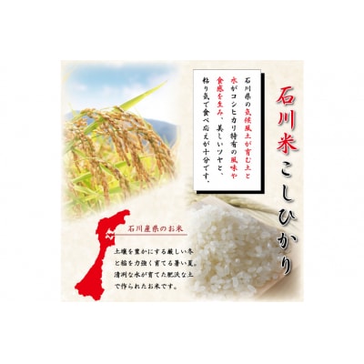 米 令和7年 石川米こしひかり【穂立】30kg(10kg×3袋) [中橋商事 38601200]