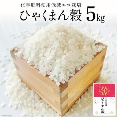 米 令和7年 ひゃくまん穀 精米 5kg [みどりの波 石川県 宝達志水町 38601255]