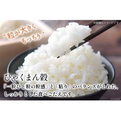 米 令和7年 ひゃくまん穀 精米 5kg [みどりの波 石川県 宝達志水町 38601255]