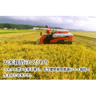 米 令和7年 ひゃくまん穀 精米 5kg [みどりの波 石川県 宝達志水町 38601255]