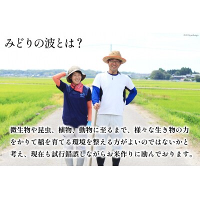 米 令和7年 ひゃくまん穀 精米 5kg [みどりの波 石川県 宝達志水町 38601255]