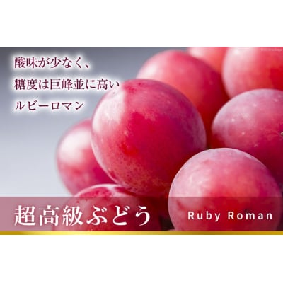 超高級 ぶどう ルビーロマン 1房 約500g 化粧箱入 [モアショップヤマモト 38601385]