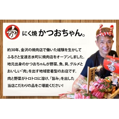 ハンバーグ 能登の煮込みハンバーグ「地元バーグ」200g×3個  [38601134]