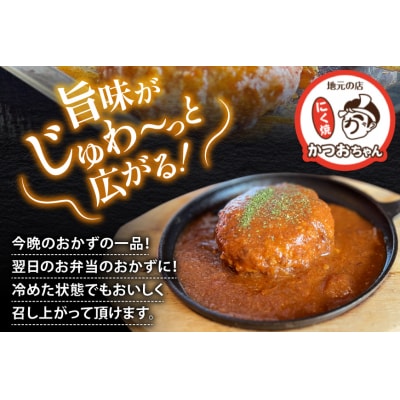 能登の詰め合わせセットB 煮込み ハンバーグ「地元バーグ」 [38601133] 