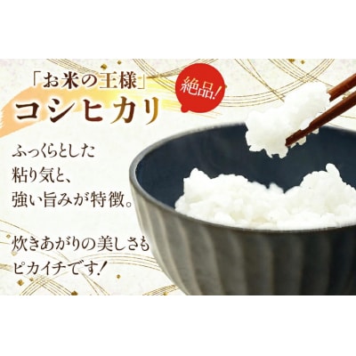 米 コシヒカリ パックご飯 150g ×20パック [石川県 宝達志水町 38601227] 