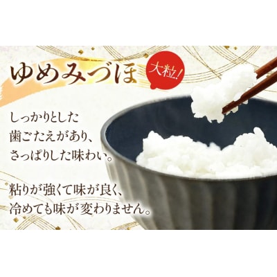 米 ゆめみづほ パックご飯 150g ×20パック [石川県 宝達志水町 38601228] 