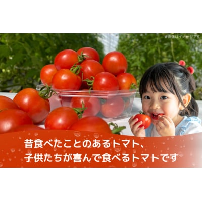 訳あり 野菜 トマト 冷凍志宝トマト(シンディスイート)中玉 2kg [38601220]