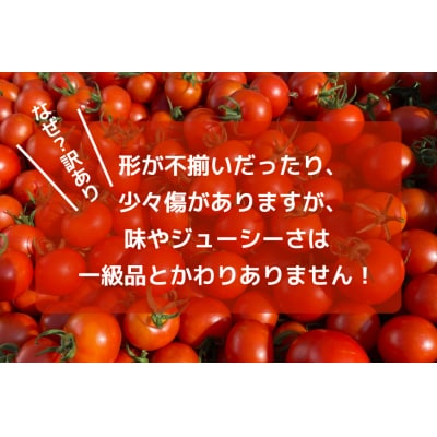 訳あり 野菜 トマト 冷凍志宝トマト(シンディスイート)中玉 1kg [38601219]