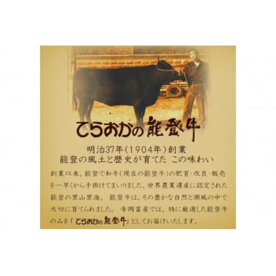 牛肉 能登牛 特選スライス(切り落とし) (4～5等級)  計1kg [38601298]