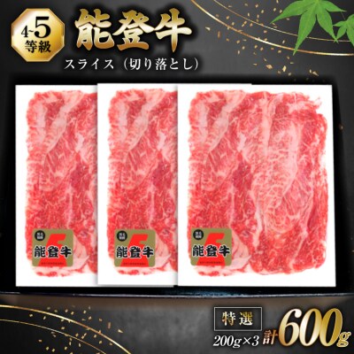 牛肉 能登牛 特選スライス(切り落とし) (4～5等級)  計600g [38601299]