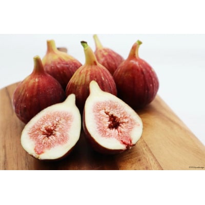 いちじく 桝井ドーフィン 約1.2kg (約300g×4パック) [38601068]