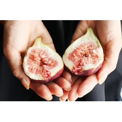 いちじく 桝井ドーフィン 約1.2kg (約300g×4パック) [38601068]