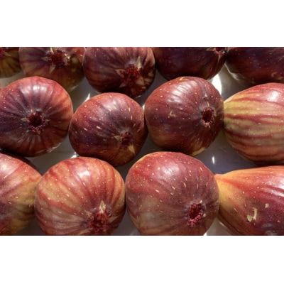 いちじく 桝井ドーフィン 約1.2kg (約300g×4パック) [38601068]