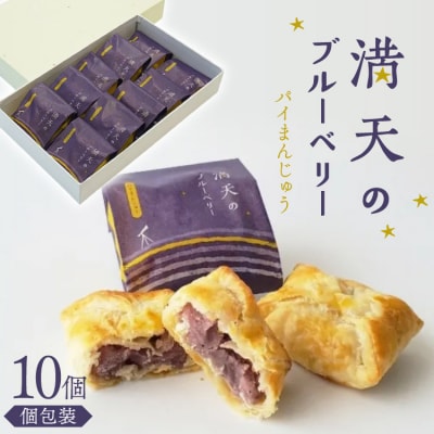 お菓子 個包装 満天のブルーベリー 10個入 [谷口製菓 石川県 宝達志水町 38601295]