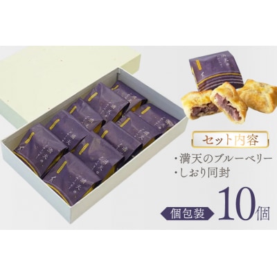 お菓子 個包装 満天のブルーベリー 10個入 [谷口製菓 石川県 宝達志水町 38601295]
