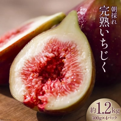 いちじく 生 完熟 約1.2kg (300g×4パック) [モアショップヤマモト 38600615] | ふるさと納税のお礼品