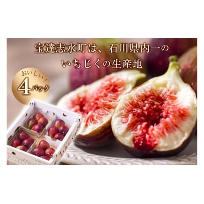 いちじく 生 完熟 約1.2kg (300g×4パック) [モアショップヤマモト 38600615]