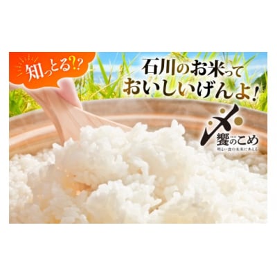米 無洗米 令和7年産 石川県産 ひゃくまん穀 10kg (5kg2袋) [38601325-sp]