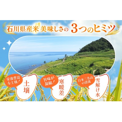 米 無洗米 令和7年産 石川県産 ひゃくまん穀 10kg (5kg2袋) [38601325-sp]